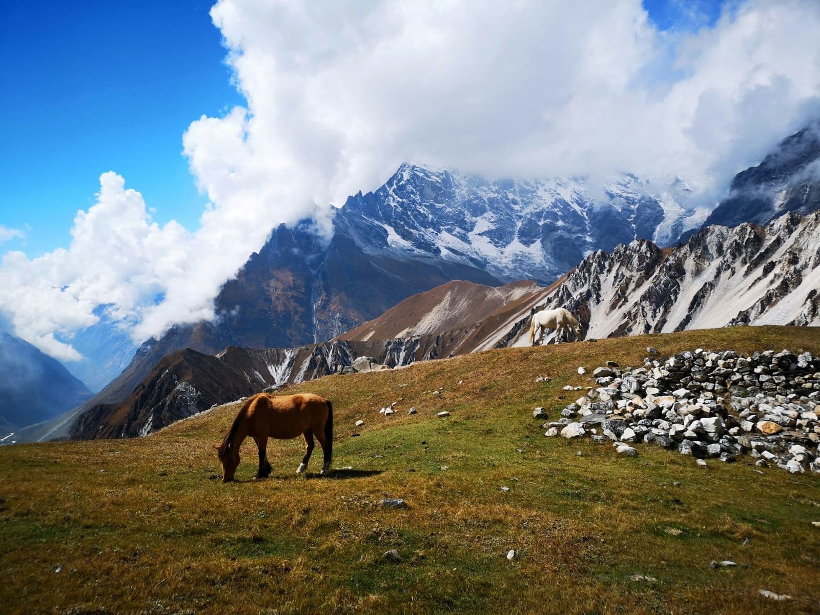 Langtang Treks Information