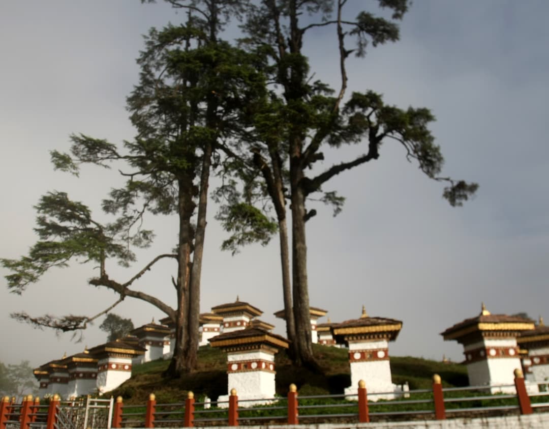 03 Night and 04 Night Bhutan Tours