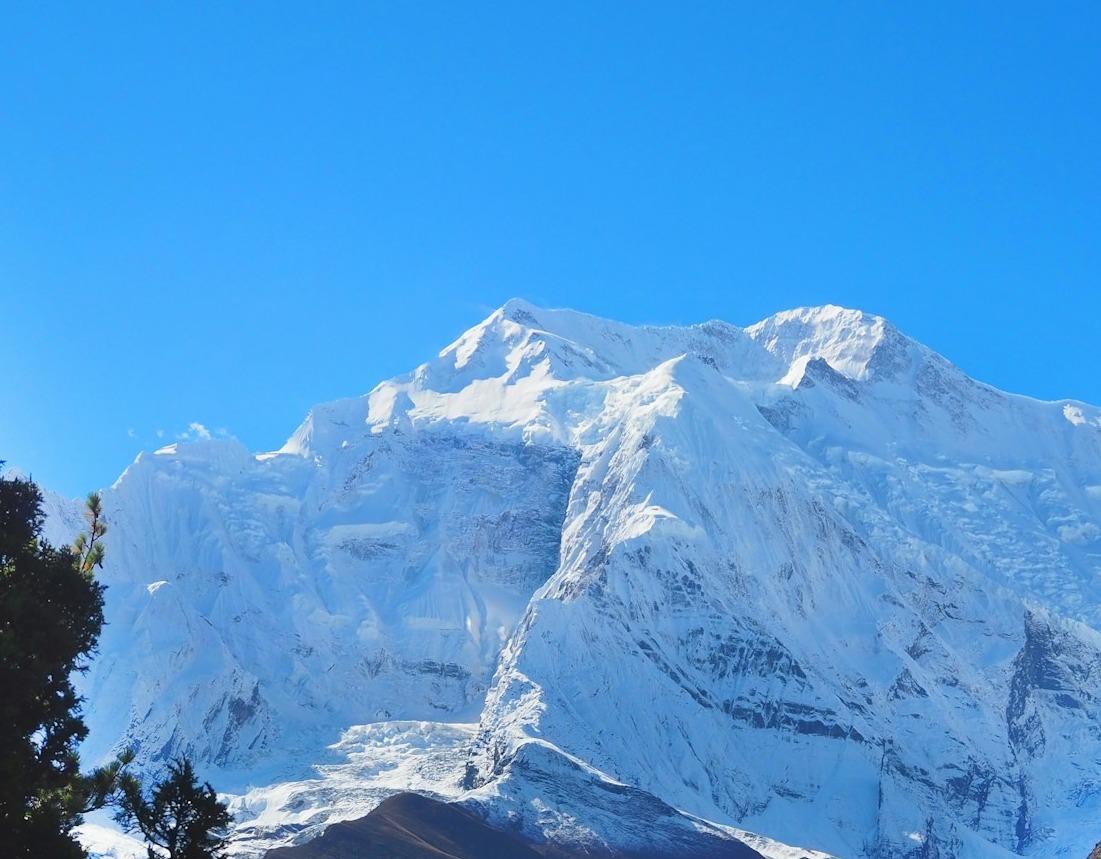 Unveiling the Majesty: Trekking Through Nepal's Himalayan Wonderland