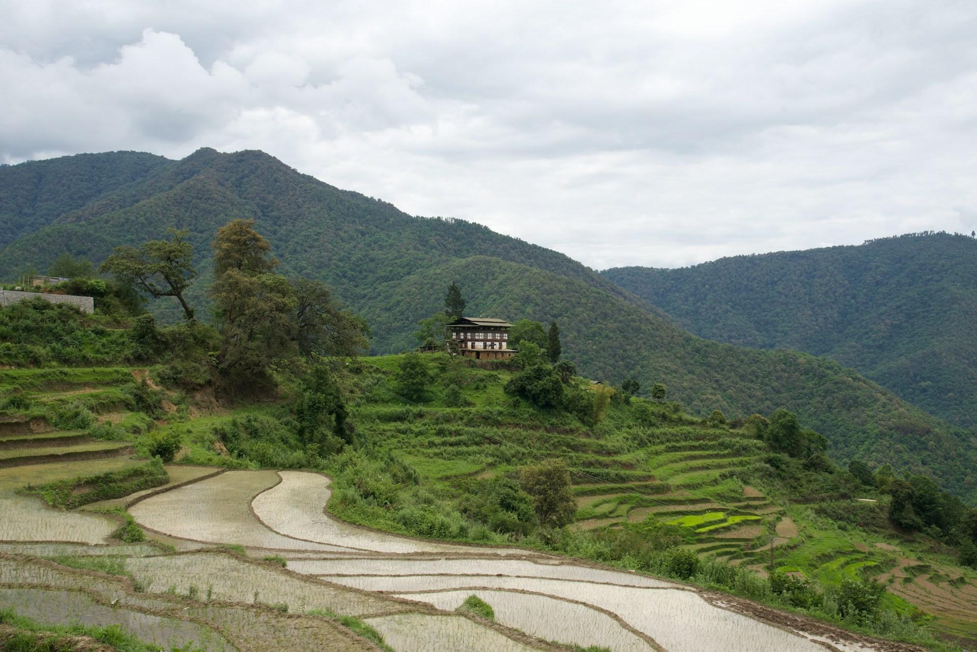 Jumolhari Trek in Bhutan