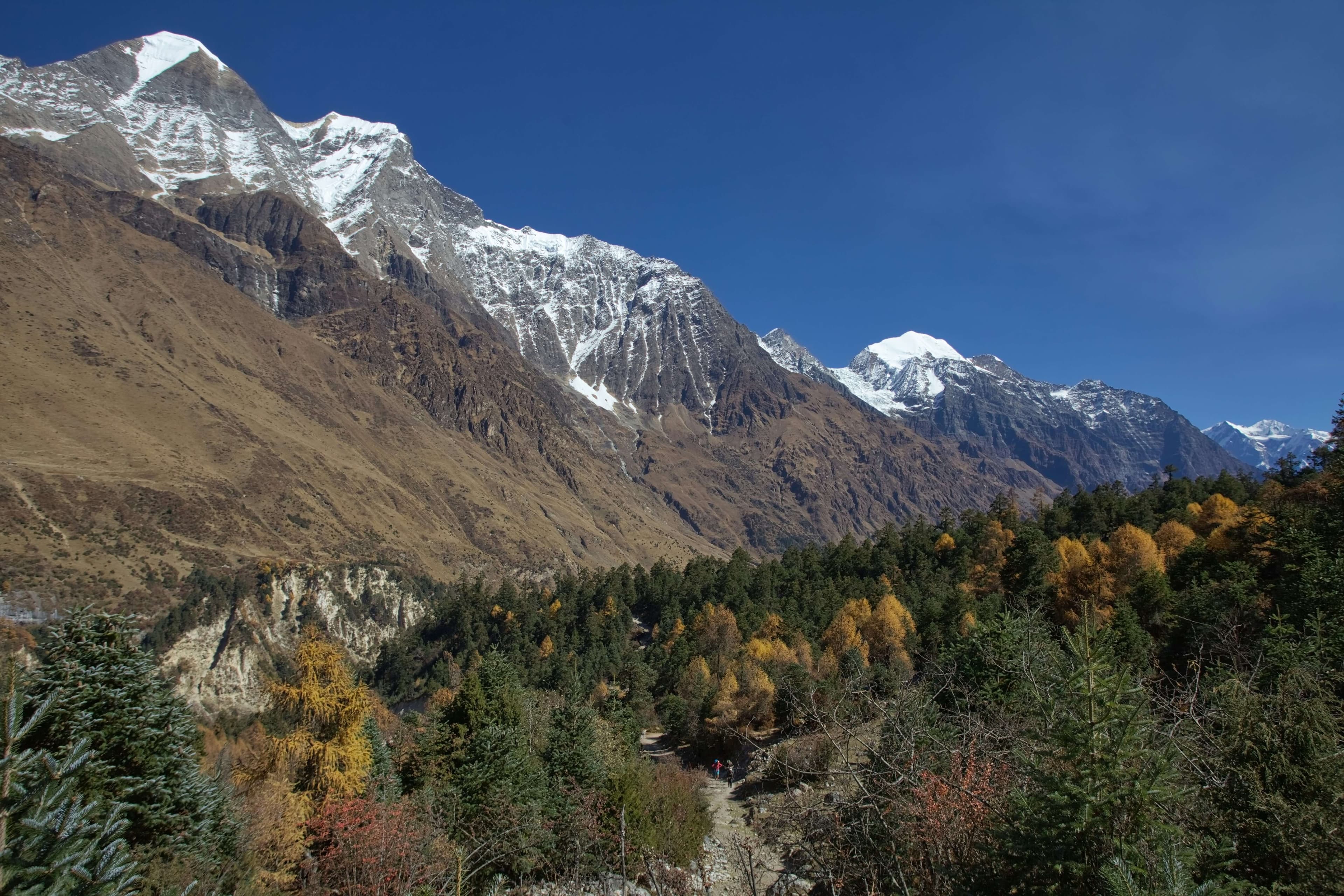 Scenic Valley in Tsum Valley trekking trail