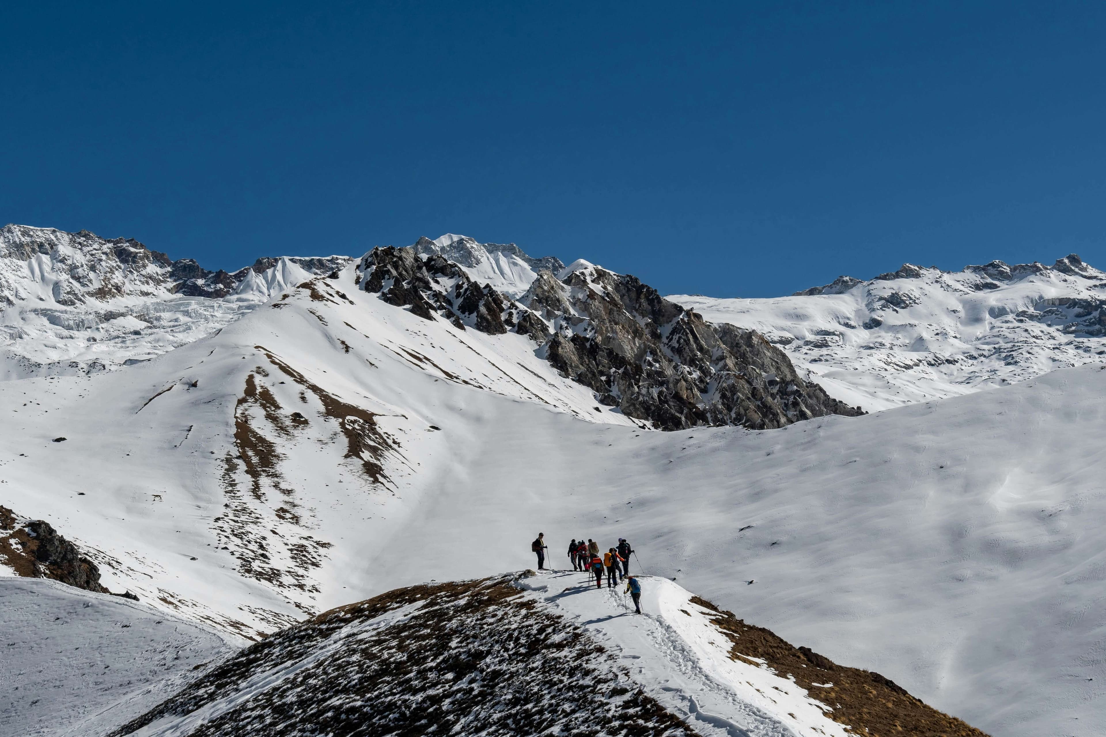 Trekkers in Langtang Trek