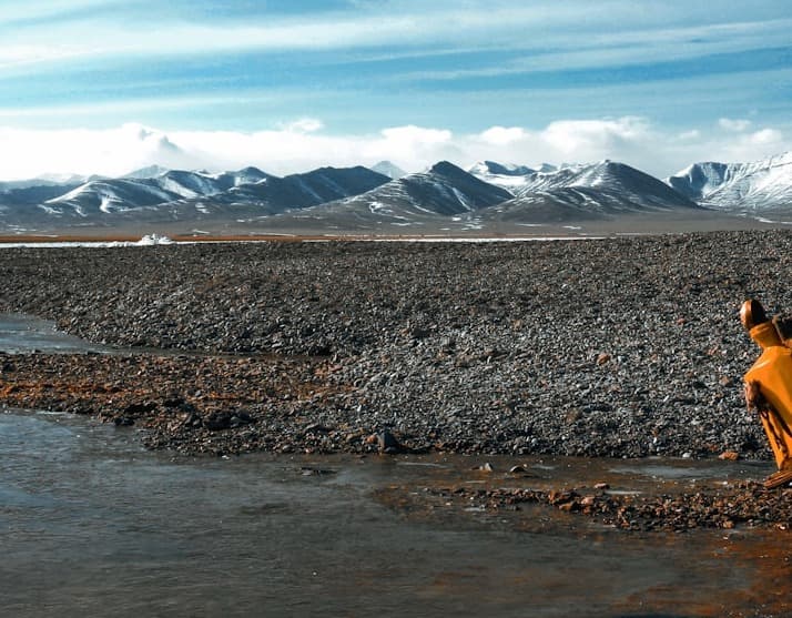 Overland Mount Kailash Tour from Nepal